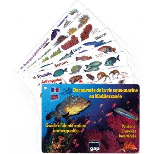 PLAQUETTES IMMERGEABLES Mer M&eacute;dit&eacute;rann&eacute;e