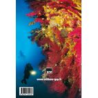 CARNET PLONGEE - Vintage -