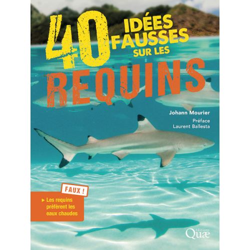 40 ID&Eacute;ES FAUSSES SUR LES REQUINS