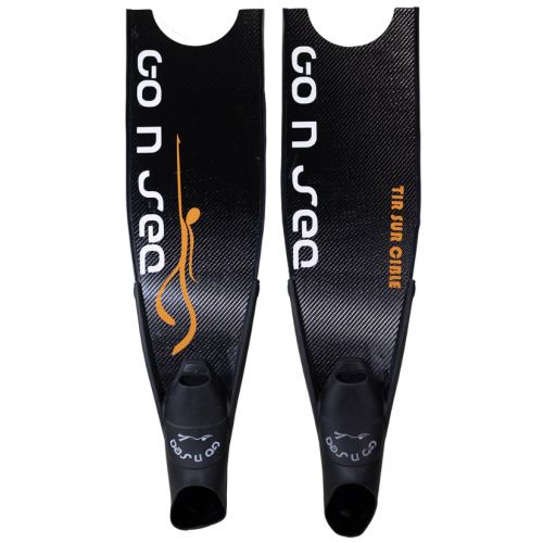 Tir sur cible Carbone