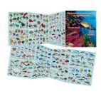 DÉCOUVERTE DE LA VIE SOUS-MARINE OCÉAN INDIEN, MER ROUGE – DÉPLIANT (FR/EN)