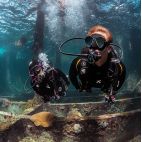 Combinaison Definition, Femme, 3mm